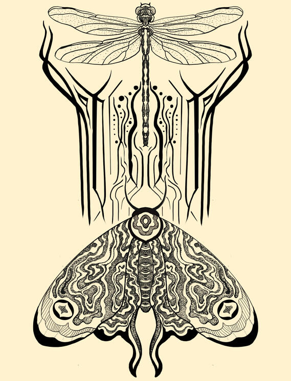 MOTH AND DRAGONFLY